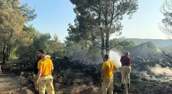 Mangal Yangını: Ormana Zarar Veren Kişi Tutuklandı