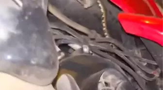 İznik'te Motosikletin İçine Giren Yılan Panic Yarattı