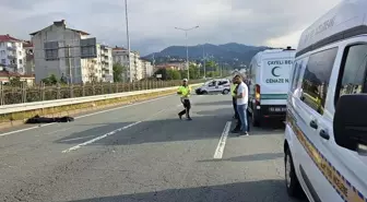 Rize'de Arı Panikle Kazaya Neden Oldu: 2 Ölü