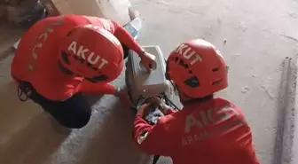 Trabzon'da Mahsur Kalan Martı Kurtarıldı