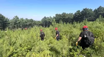 İstanbul'da Kaybolan Şaban Aksoy İçin Arama Kurtarma Çalışmaları Devam Ediyor