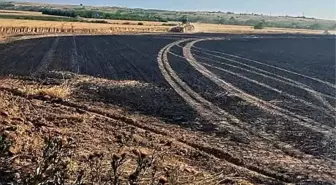 Kırklareli'nde Yangın: 30 Dönüm Buğday Yandı