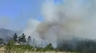 Çanakkale'de Orman Yangını: Havadan ve Karadan Mücadele