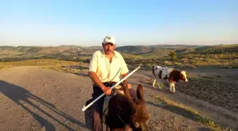 Yozgat'ta Besiciler Çoban Bulmakta Zorlanıyor