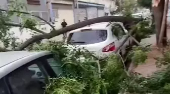 Gaziantep'te Şiddetli Fırtına ve Yağış Hayatı Felç Etti