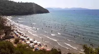 Kuşadası'nda Kurban Bayramı Yoğunluğu Yüzde 100'e Ulaştı