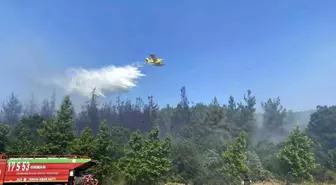 Çanakkale Lapseki'de Orman Yangını Kontrol Altına Alınıyor