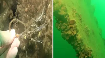 Sapanca Gölü'ne düşen uçağın enkazı 53 yıl sonra yeniden görüntülendi