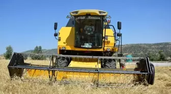 Selendi'de 2025 Biçer-Döver Fiyatları Belirlendi