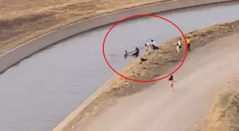 Batman'da Serinlemek İçin Su Kanalına Giren 2 Çocuk Kurtarıldı