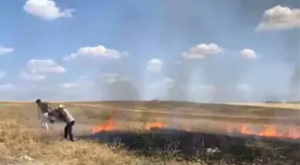 Ankara'da Tarlada Çıkan Yangın Korkuya Neden Oldu