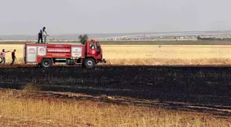 Gaziantep'te Buğday Ekili Alanda Yangın: 15 Dönüm Küle Döndü