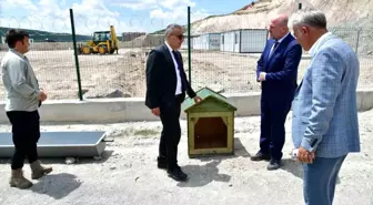 Ardahan'da Sahipsiz Hayvanlar İçin Doğal Yaşam Alanı Açıldı