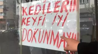 Eskişehir'de Kedileriyle Boş Dükkanında İlgili Tartışma