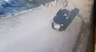 Büyükçekmece'de Köpeğe Otomobil Çarpıp Kaçtı