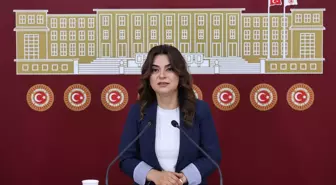 DEM Parti'den İmralı Çağrısı: Tüm Siyasi Partiler Gitsin