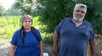 Dursun Yılmaz, Osmaniye'nin İlk Kadın Muhtarı Olmayı Başardı