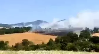 Balıkesir'de Buğday Ekili Arazide Yangın Çıktı