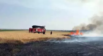Kırklareli'nde Buğday Tarlasında Yangın: 500 Dekar Zarar