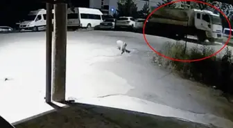 Tunceli'de Freni Boşalan Kamyon 5 Araca Çarptı