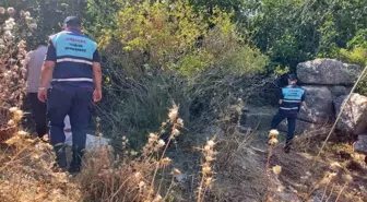 Didim'de Koruma Altındaki İncir İlekleri Toplayan İki Şüpheli Yakalandı