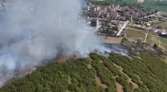 Tokat'ta Makilik Alanda Yangın: 15 Dönüm Zarar Gördü