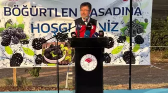 Bakan Yumaklı, Siirt'te Böğürtlen Hasadına Katıldı