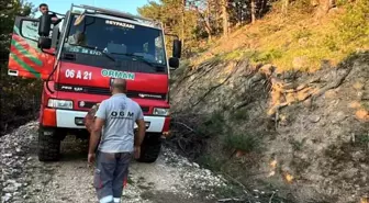 Beypazarı'nda Orman Yangını Kontrol Altına Alındı