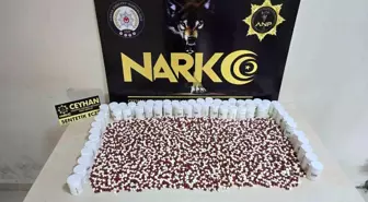 Adana'da Organize Suç Örgütüne Operasyon: 10 Tutuklama