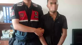 İncirliova'da Akraba Cinayeti: Şüpheli Jandarma Tarafından Yakalandı