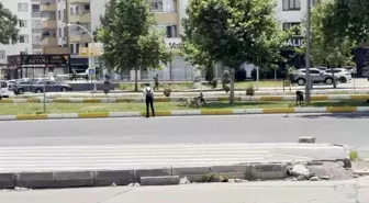 Diyarbakır'da Başıboş Köpekler Vatandaşları Korkuttu