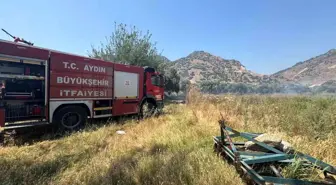 Aydın'da Zirai Alanda Yangın: Zeytin Ağaçları Zarar Gördü