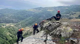 Tokat'ta Mahsur Kalan Keçilerin Kurtarılması
