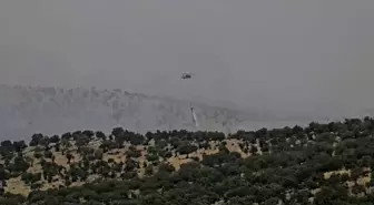 Mardin'de Orman Yangını Kontrol Altına Alındı