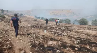Savur'da Kırsal Alanda Örtü Yangını