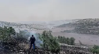 Mardin'de Kırsal Alanda Yangınlar Kontrol Altına Alındı