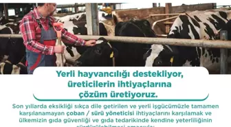 Yabancı Çoban ve Hayvan Bakıcıları İçin Çalışma İzni Başvuruları Başladı
