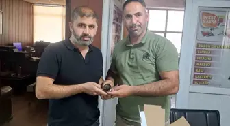 Yaralı Ebabil Kuşu, Duyarlı Genç Tarafından Kurtarıldı