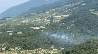 Aydın'da Orman Yangını: 3 Hektar Alan Zarar Gördü