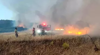 Çanakkale'nin Ayvacık İlçesinde Tarım Arazisinde Yangın