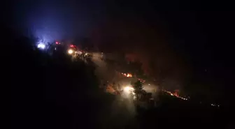 Çanakkale Ayvacık'ta Tarım Arazilerinde Yangın: Kısmen Kontrol Altına Alındı