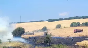 Çanakkale Biga'da Tarım Arazisinde Yangın