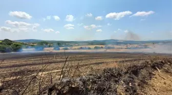 Çanakkale Biga'da Tarım Arazisinde Yangın Çıktı