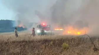 Çanakkale'nin Ayvacık İlçesinde Tarım Arazisinde Yangın