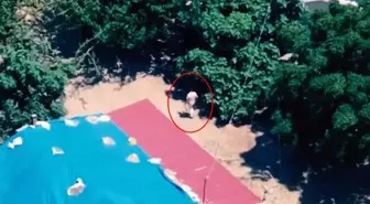 Çocuğa cinsel istismarda bulunan zanlı film gibi operasyonla yakalandı