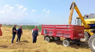 Denizli'de Buğday Hasadı Başladı