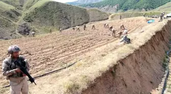 Diyarbakır'da Uyuşturucu Operasyonu: 319 Ton Uyuşturucu Ele Geçirildi