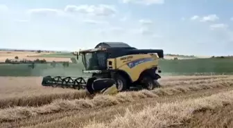 Edirne'de 2025 Buğday Hasadı Başladı