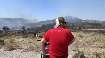 Foça'da Orman Yangını Kontrol Altına Alma Çalışmaları Devam Ediyor