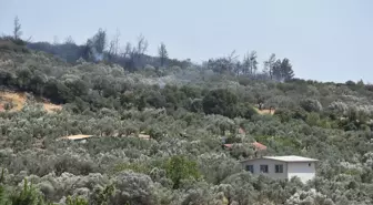 Foça'daki Orman Yangını Kontrol Altına Alındı